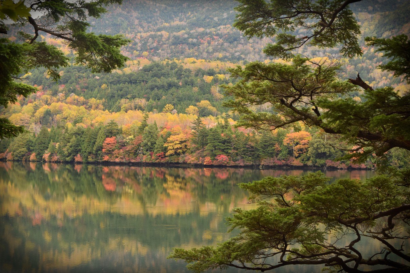 秋の日光。紅葉シーズンは特に混み合う