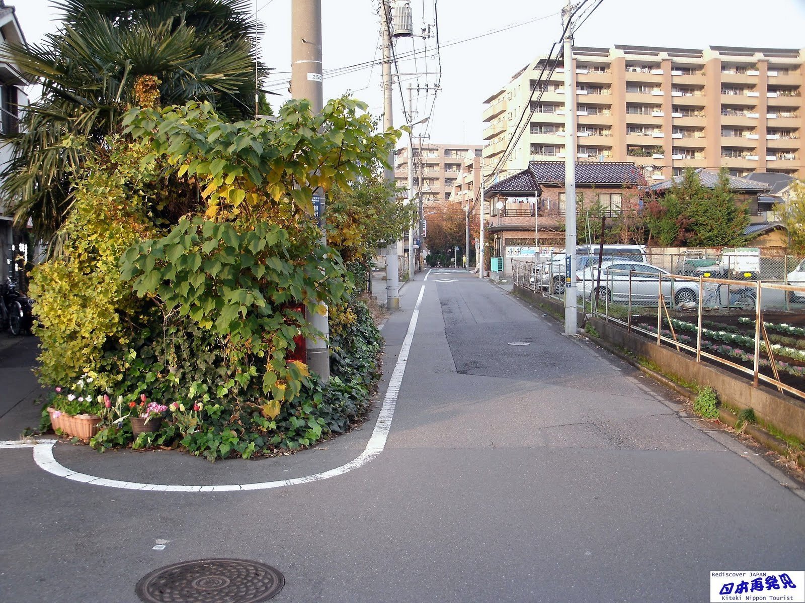 世田谷区の生活道路。センターラインすらない道も多い。※イメージ