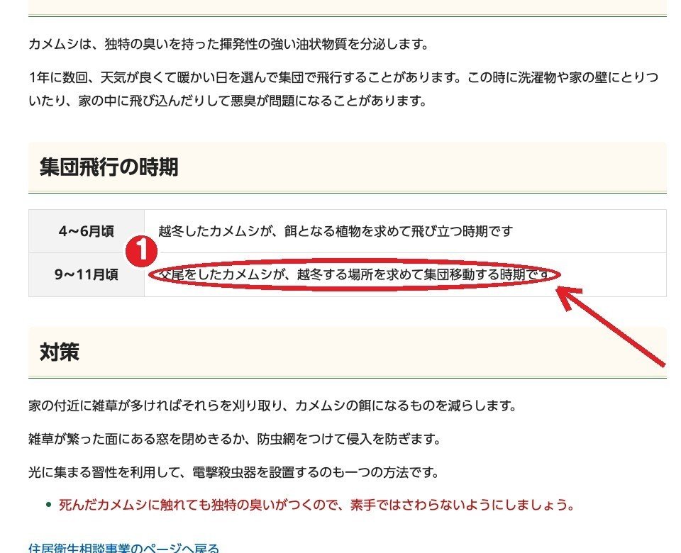 千葉市のカメムシのページ。①9〜11月頃は交尾をしたカメムシが越冬場所を求めて集団移動する時期