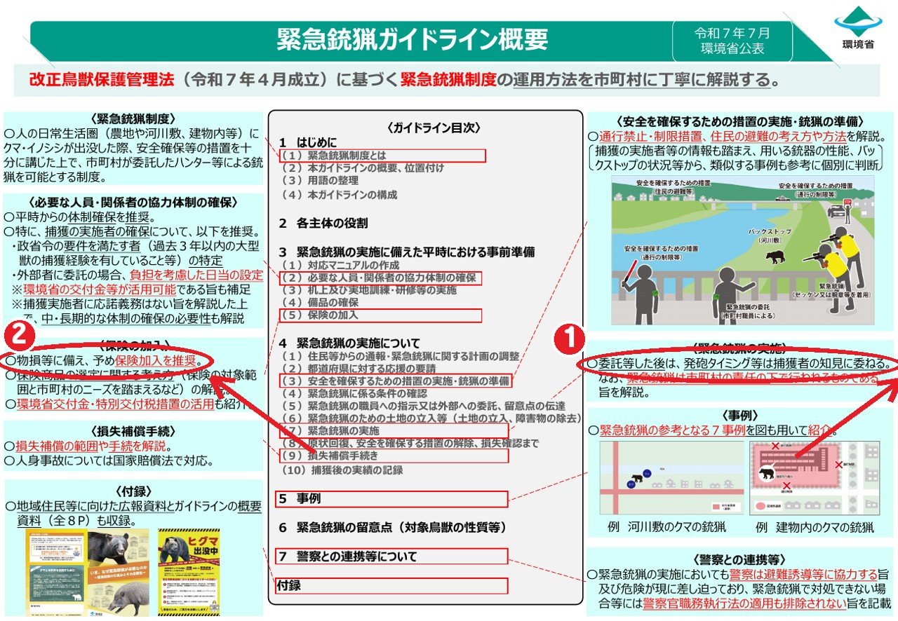 環境省「緊急銃猟ガイドライン概要」。①発砲のタイミングなどは捕獲者の知見に委ねる ②物損などに備えて保険加入を推奨