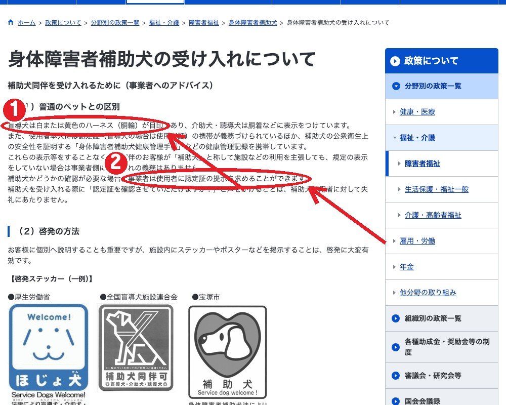厚生労働省「身体障害者補助犬の受け入れについて」。①盲導犬は白か黄色のハーネスが目印 ②事業者は認定証の提示を求められる