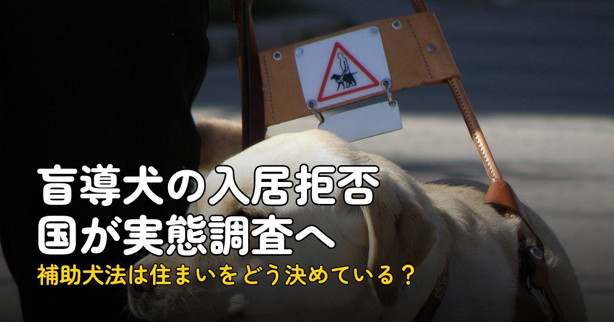 盲導犬の入居拒否100件超、国が実態調査へ