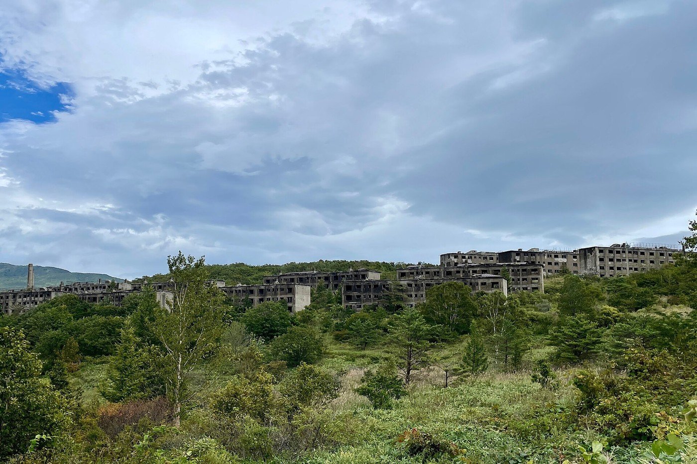 木々に囲まれた住宅跡(資料写真、写真: おにく / CC0(ウィキメディア・コモンズ))。真名団地ではありません