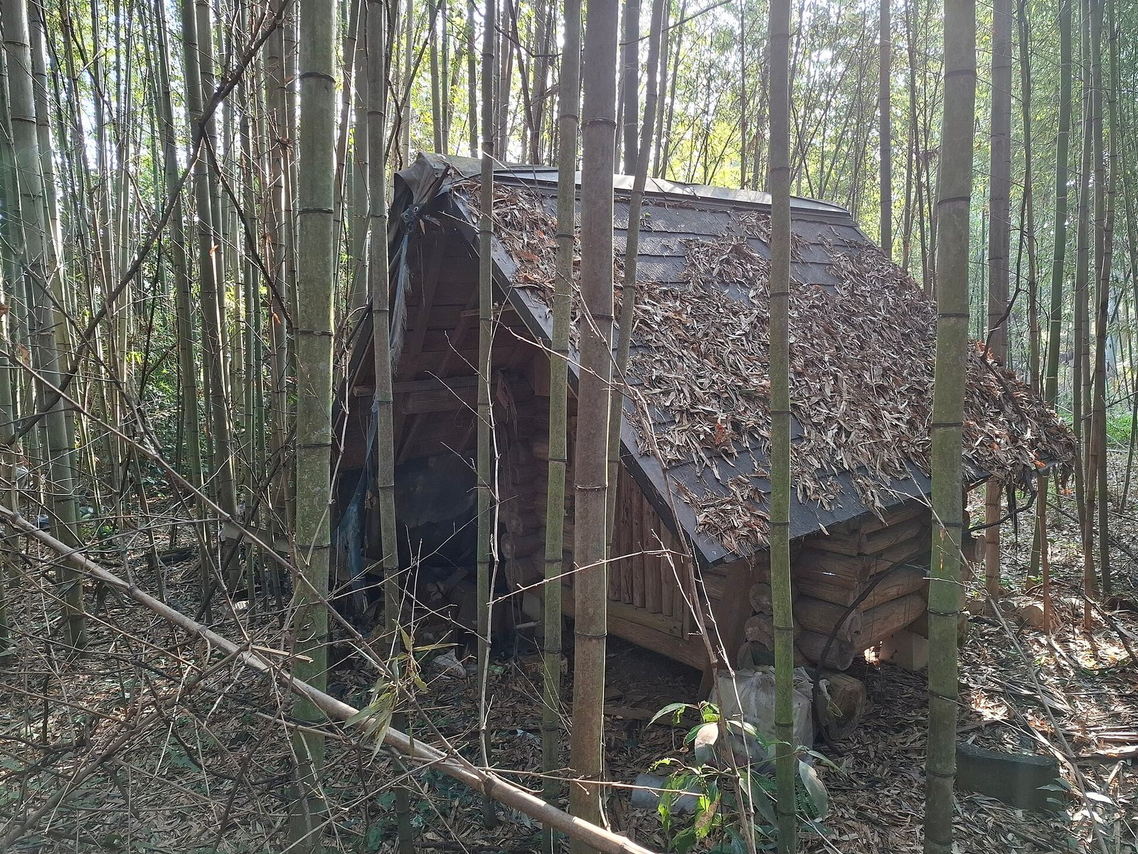 竹やぶに埋もれかけた空き家(資料写真)