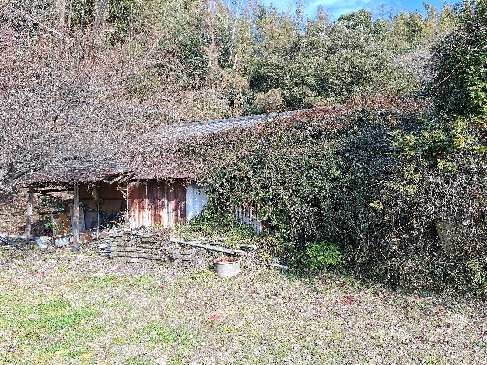 地方の空き家(資料写真・山口県)