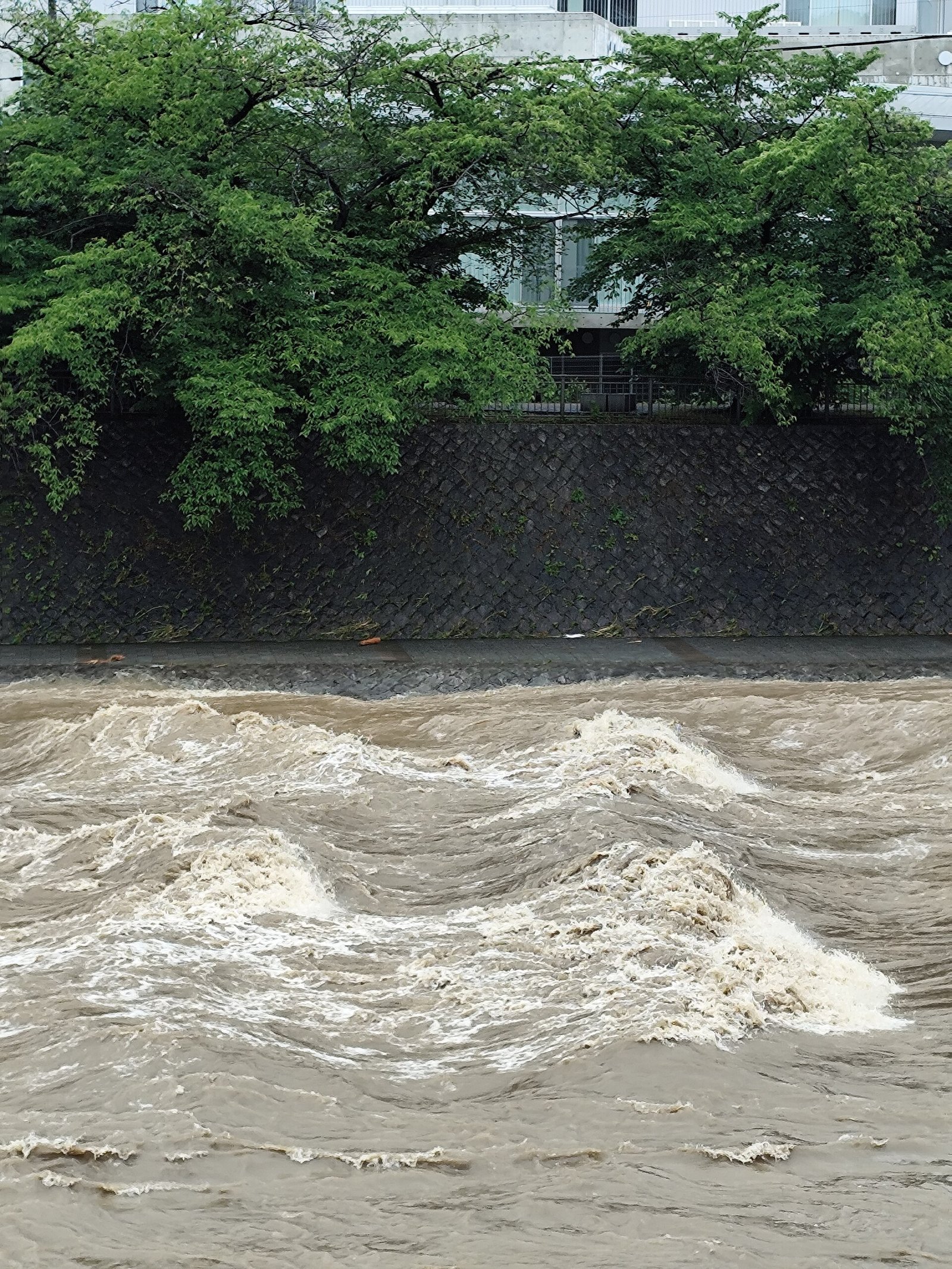 名古屋で1時間104.5ミリ 観測史上最大の雨、198万人に避難指示